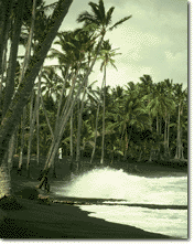 Big Island