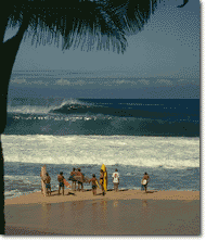 Surfing